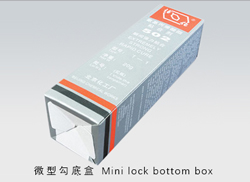 Mini lock bottom box